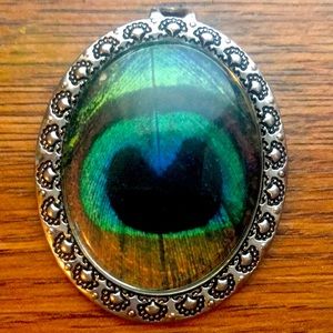 Peacock feather key chain!